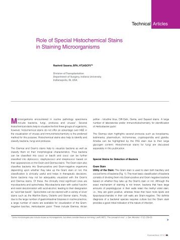 Role of Special Histochemical Stains in Staining ... - Dako