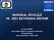 servikal sitoloji ve 2001 bethesda sistemi - Ankara Patoloji DerneÄi