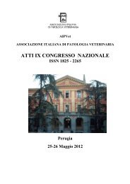 Meeting di Perugia 2012 - AIPVet
