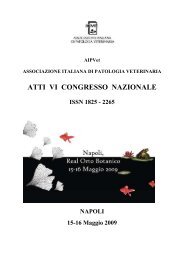AIPVet Napoli 2009 - Atti