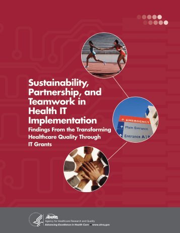 Sustainability, Partnership, and Teamwork in Health IT Implementation