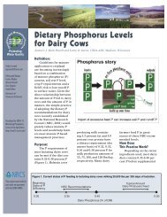 Dietary Phosphorus Levels for Dairy Cows - Sera-17