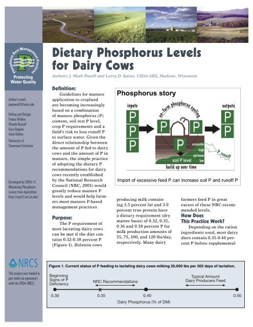 Dietary Phosphorus Levels for Dairy Cows - Sera-17