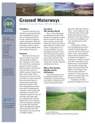 Grassed Waterways - Sera-17