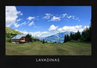 LAVADINAS