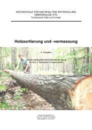 Holzsortierung und -vermessung