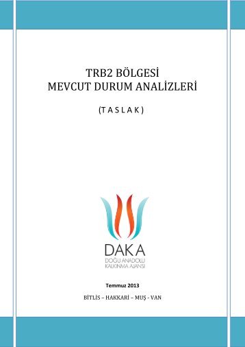 TRB2 BÃ¶lgesi Mevcut Durum Analizi - Daka