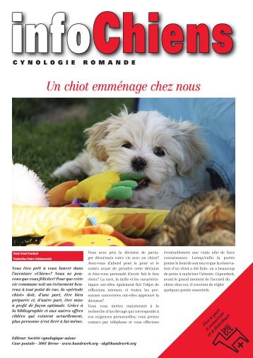 Un chiot emmÃ©nage chez nous