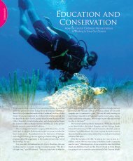 Education and Conservation