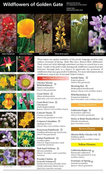 NPS Wildflower Guide