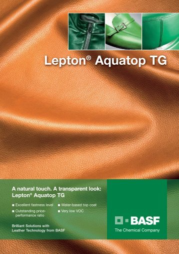 Lepton Aquatop TG - Prismadye