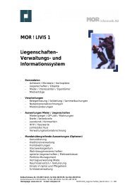 Titelblatt MOR ! Livis - MOR Informatik AG