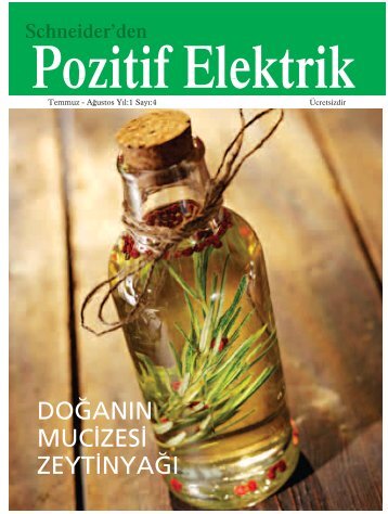 Schneider Electric'den Pozitif Elektrik - Temmuz - Ağustos 2007