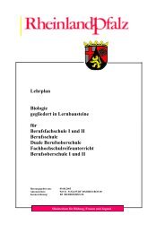 Lehrplan Biologie gegliedert in Lernbausteine für Berufsfachschule I ...