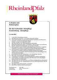 Lehr- und Rahmenplan - Franziska Schervier Altenhilfe