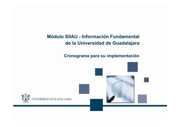 Cronograma para implementaciÃ³n del Modulo SIIAU