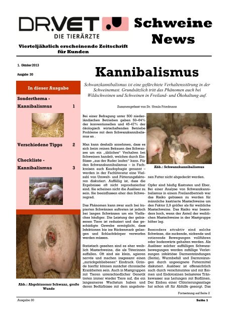 Schweine News Kannibalismus - Dr. Vet