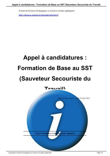 Formation de Base au SST (Sauveteur Secouriste du Travail)