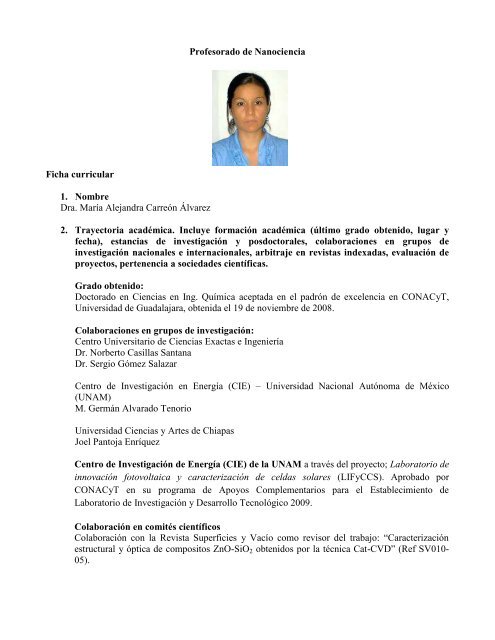 Profesorado de Nanociencia Ficha curricular 1. Nombre Dra. MarÃ­a ...