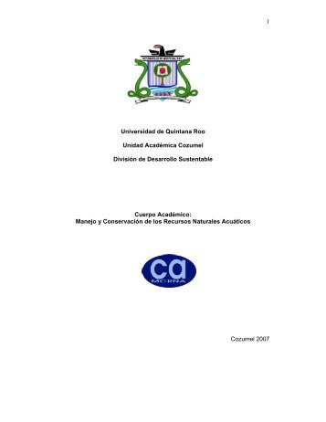 PLADECA UQROO-CA-26.pdf - Universidad de Quintana Roo