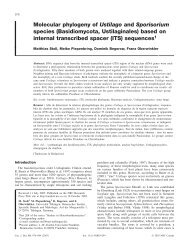 Molecular phylogeny of Ustilago and Sporisorium species ...