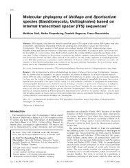 Molecular phylogeny of Ustilago and Sporisorium species ...