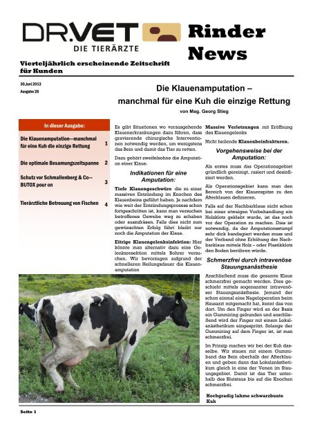 Zeitschrift âJuni 2013â lesen - Dr. Vet