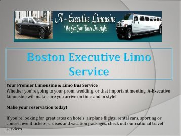 Boston Executive Limo Bus