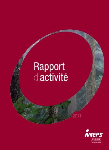 Rapport d'activitÃ© - IWEPS