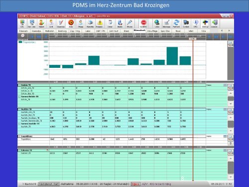 PDMS in der Intensivpflege – ein Praxisbeispiel - Heilberufe