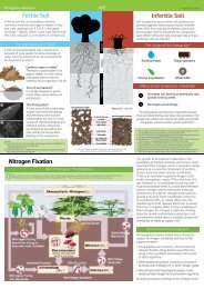 Nitrogen Fixation Fertile Soil Infertile Soil - Agrinos