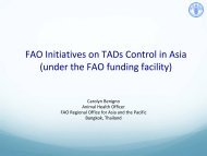 FAO Initiatives on TADs Control in Asia (under the ... - OIE Asia-Pacific