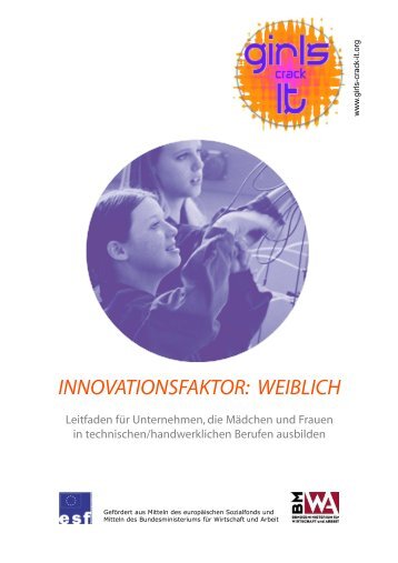 INNOVATIONSFAKTOR: WEIBLICH - Industriekarriere