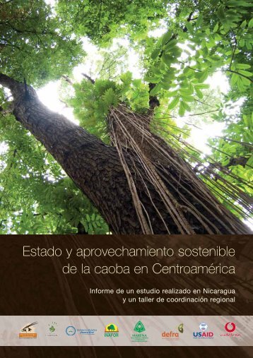 Estado y aprovechamiento sostenible de la caoba en Centroamérica