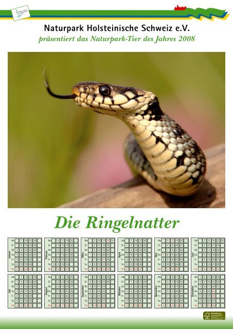 D ie R ingelnatter  (N atrix natrix) - Naturpark Holsteinische Schweiz