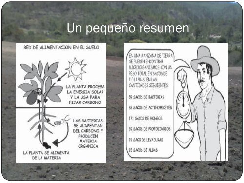 El suelo , su salud y como recuperarlos - Pymerural