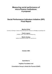 Measuring social performance of micro-finance institutions ... - Cerise