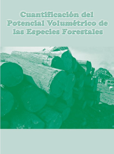 Cuantificación del potencial volumétrico de las principales ... - magfor