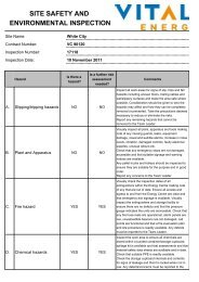 SITE SAFETY AND ENVIRONMENTAL INSPECTION