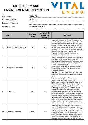 SITE SAFETY AND ENVIRONMENTAL INSPECTION