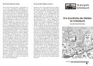 Die Geschichte des Waldes im Schönbuch - im Naturpark Schönbuch