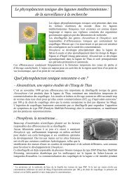 Le phytoplancton toxique des lagunes mÃ©diterranÃ©ennes