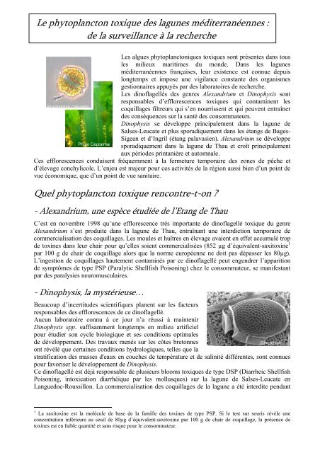 Le phytoplancton toxique des lagunes mÃ©diterranÃ©ennes