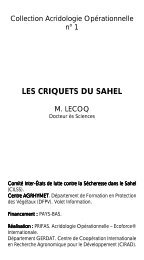 LES CRIQUETS DU SAHEL - Les criquets ravageurs - Cirad