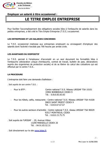 Une fiche d'information sur le Titre Emploi Entreprise (TEE)