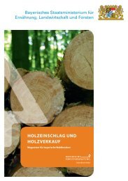 HOLZEINSCHLAG UND HOLZVERKAUF - Bayern