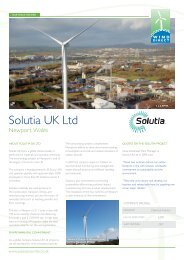 Solutia Chemicals Case Study - Wind Direct