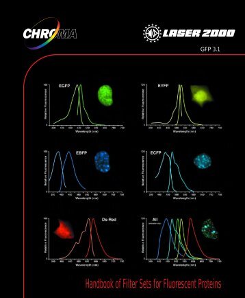 Handbook of Filter Sets for Fluorescent Proteins - Laser 2000