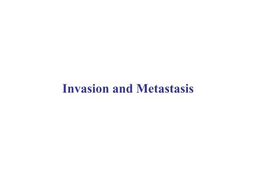 Invasion and metastasis - Experimental Oncology Graduate Study