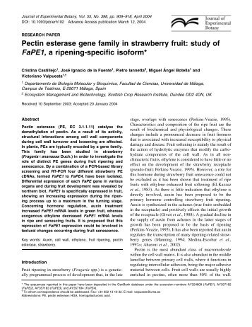 Pectin esterase gene family in strawberry fruit - Journal of ...